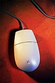 Maus